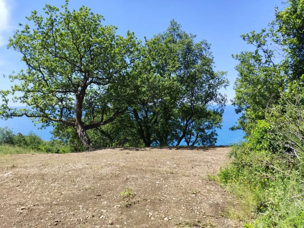 Prodaja, plac, 708m², Dobra Voda, Bar