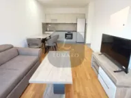 Rent, one bedroom apartment, 48m², Zabjelo, Podgorica - image 4