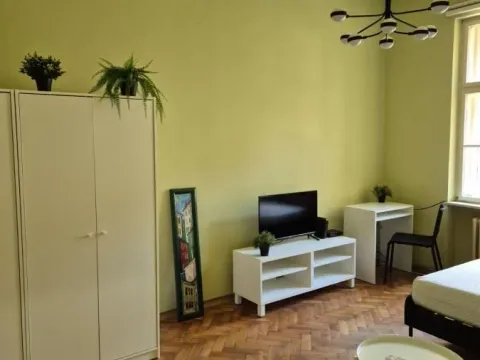 Izdavanje, jednosoban stan, 37m², Centar, Novi Sad - image 7