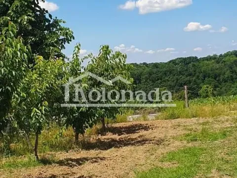 Prodaja, plac, 10200m², Sopot, Beograd - image 4