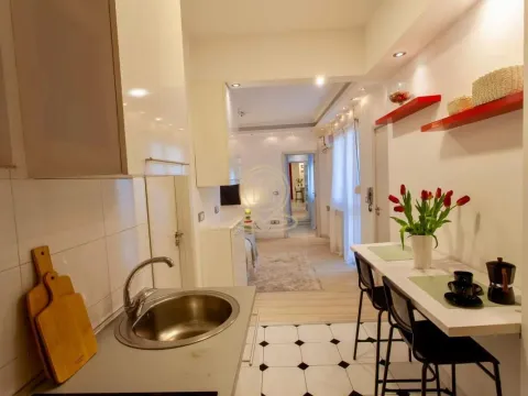 Rent, two bedroom apartment, 53m², Stari Grad, Beograd - image 3