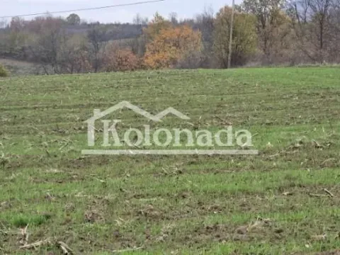 Sale, land lot, 6000m², Sopot, Beograd - image 8