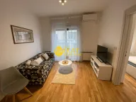 Sale, one bedroom apartment, 44m², Botanička Bašta, Palilula Sve Podlokacije - image 1