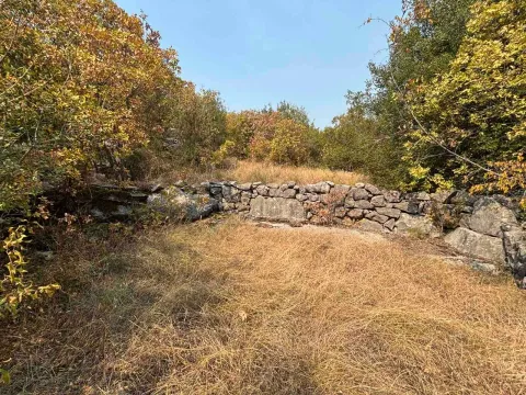 Dvorište sa kamenim zidom i stablima u jesenjim bojama. - image 6