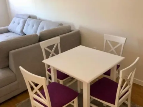 Izdavanje, jednosoban stan, 47m², Central Point, Podgorica - image 3