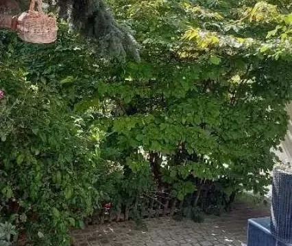 Prodaja, kuća, 550m², Savski Venac, Beograd - image 2