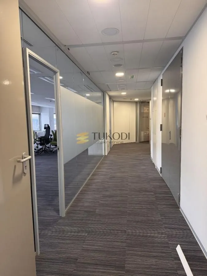 Izdavanje, poslovni prostor, 776m², Novi Beograd Blok 67, Novi Beograd Sve Podlokacije