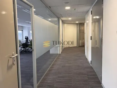 Rent, office space, 776m², Novi Beograd Blok 67, Novi Beograd Sve Podlokacije - image 12