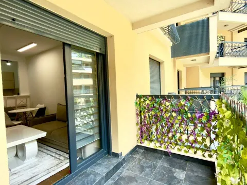 Izdavanje, jednosoban stan, 47m², Ljubović, Podgorica - image 10