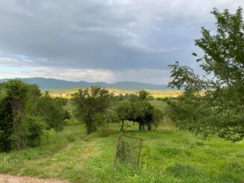 Sale, land lot, 8146m², Miločani, Nikšić - image 3