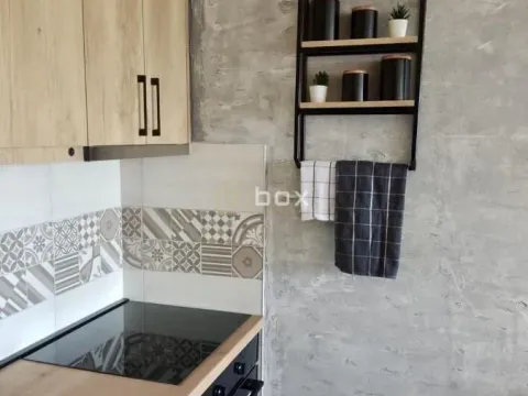 Rent, one bedroom apartment, 45m², Pantelej, Niš - image 7