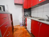 Izdavanje, jednosoban stan, 48m², Malo Brdo, Podgorica - image 6