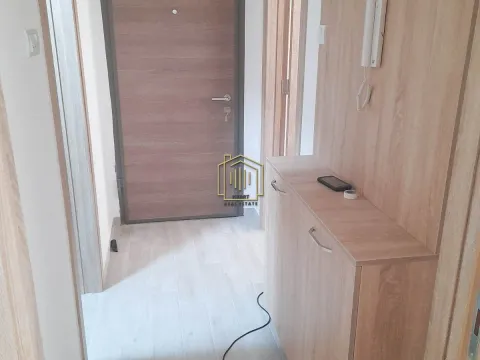 Izdavanje, jednosoban stan, 44m², Ljubović, Podgorica - image 10