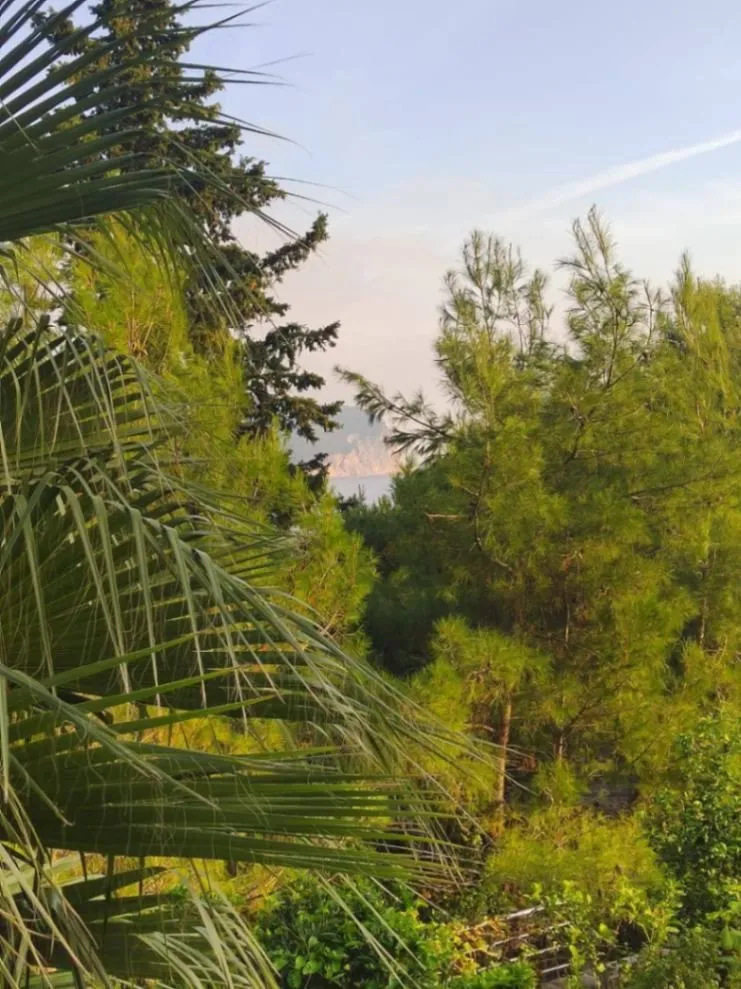 Sale, one bedroom apartment, 63m², Petrovac, Budva