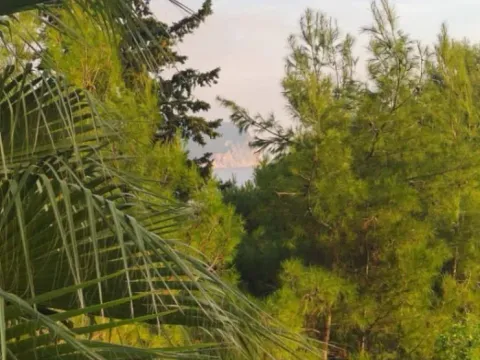 Sale, one bedroom apartment, 63m², Petrovac, Budva - image 8