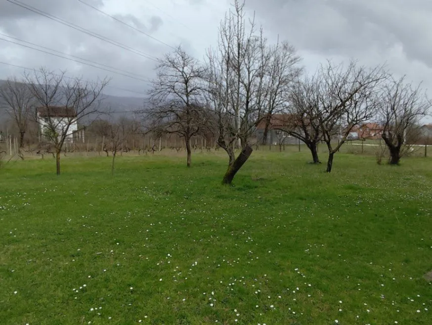 Prodaja, kuća, 74m², Donji Martinići, Danilovgrad