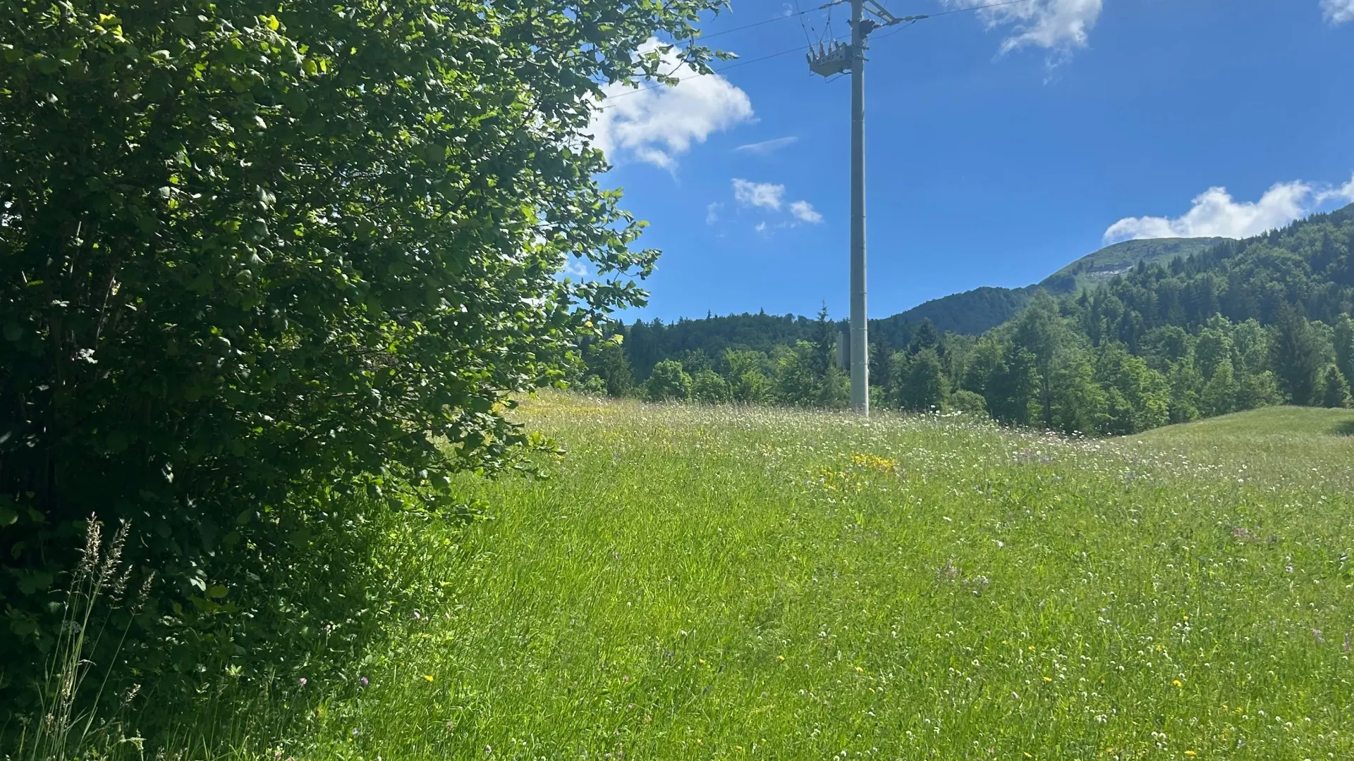 Prodaja, plac, 62500m², Bare, Kolašin