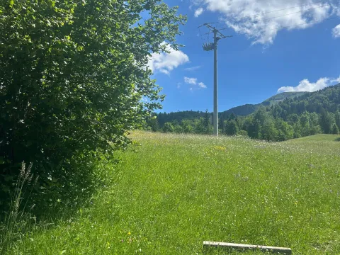 Prodaja, plac, 62500m², Bare, Kolašin - image 3