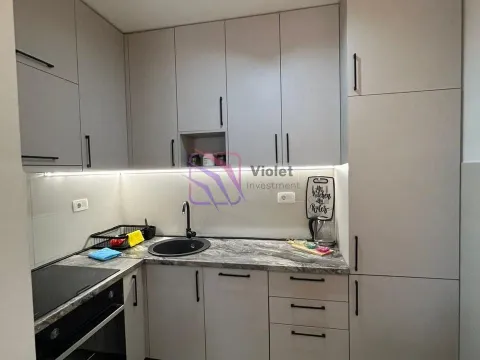 Izdavanje, jednosoban stan, 42m², Zabjelo, Podgorica - image 12