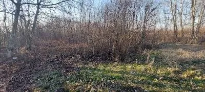 Prodaja, plac, 5400m², Smederevo, Srbija
