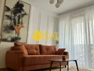 Rent, one bedroom apartment, 45m², Obudojevica, Zlatibor - image 3