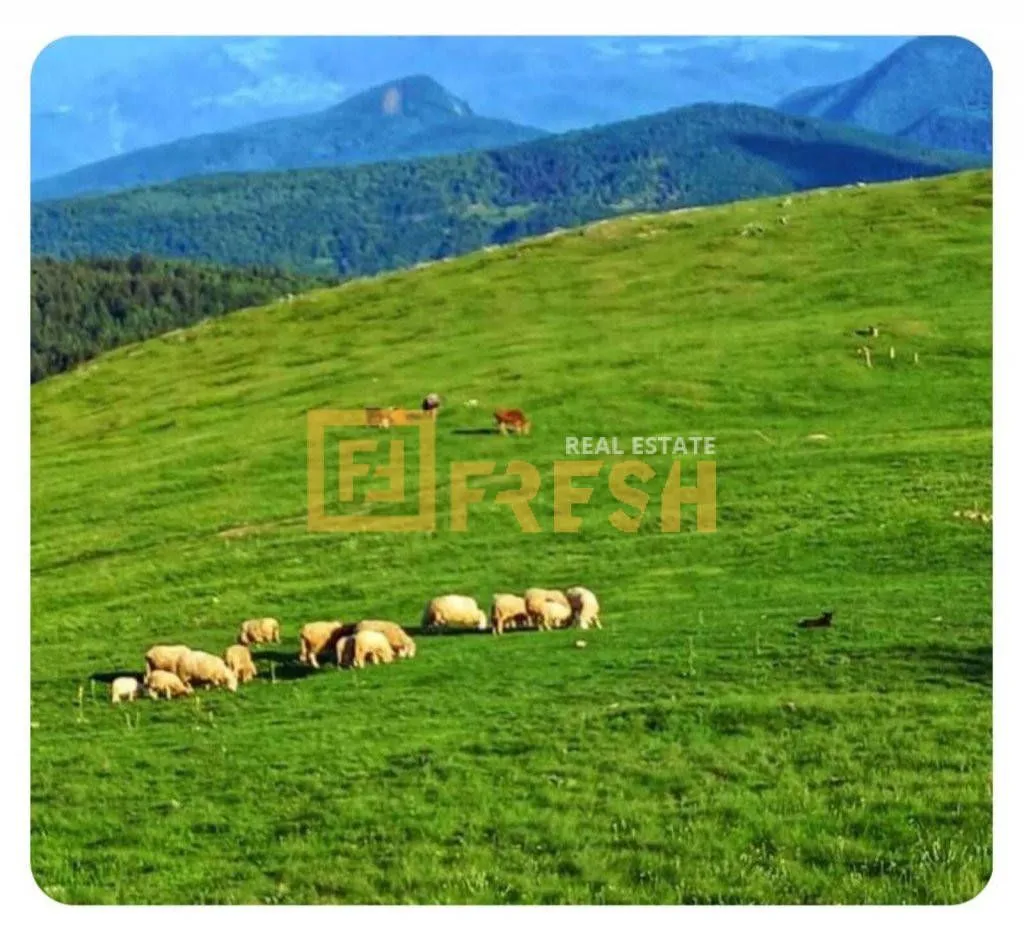 Prodaja, plac, 6000m², Berane, Crna Gora