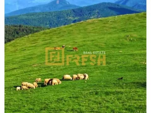 Prodaja, plac, 6000m², Berane, Crna Gora - image 7