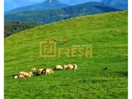 Prodaja, plac, 6000m², Berane, Crna Gora - image 7