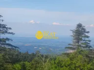 Prodaja, plac, Divčibare, Valjevo - image 5