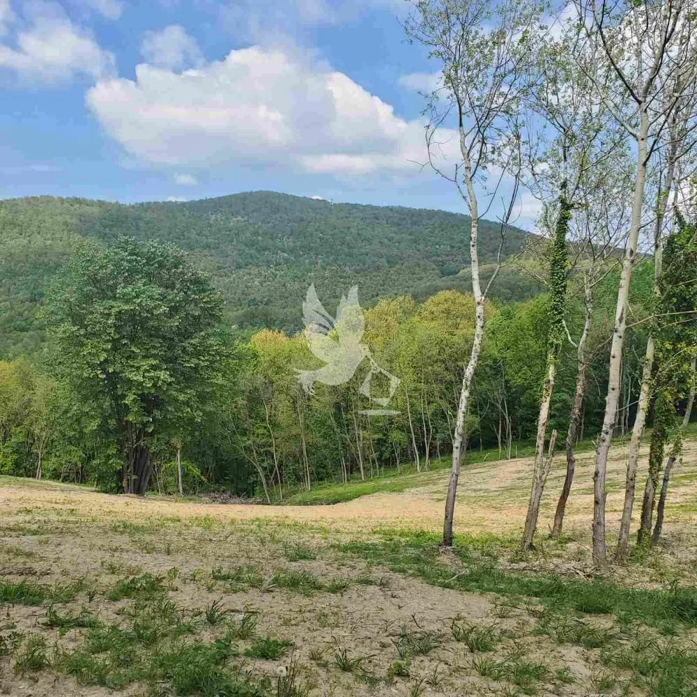 Prodaja, plac, 14000m², Kosmaj, Sopot