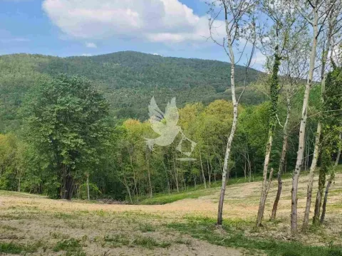 Prodaja, plac, 14000m², Kosmaj, Sopot - image 6