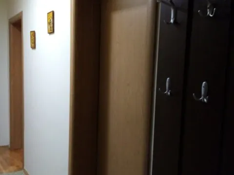 Izdavanje, dvosoban stan, 45m², Krnjaca, Palilula Sve Podlokacije - image 10