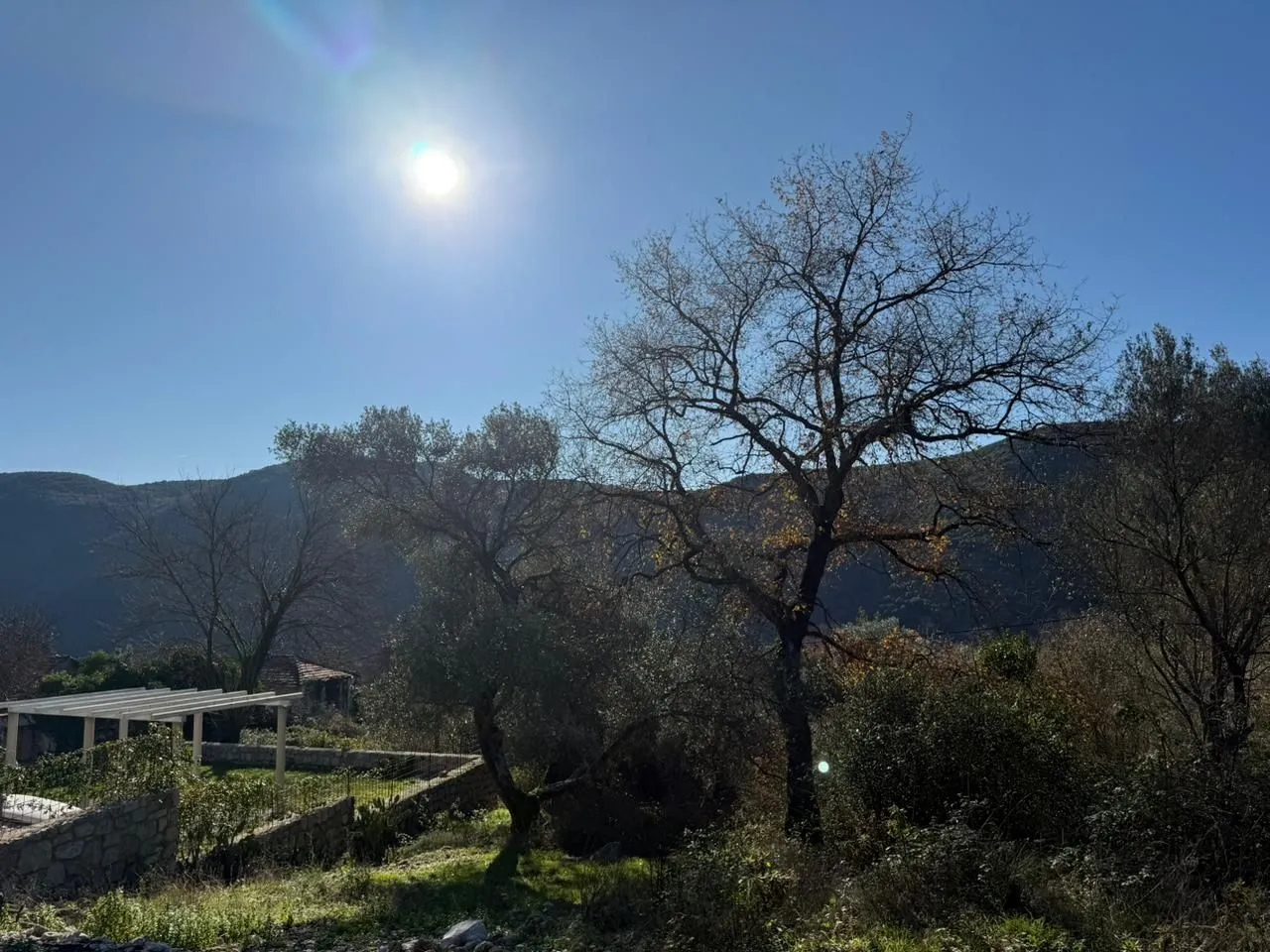 Pogled na dvorište sa drvećem i sunčanim vremenom.