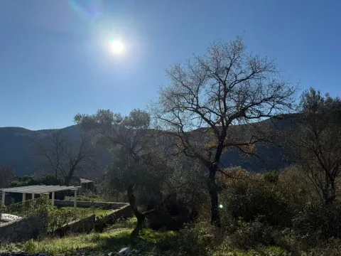 Pogled na dvorište sa drvećem i sunčanim vremenom. - image 10