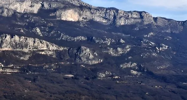 Prodaja, plac, 86000m², Nikšić, Crna Gora