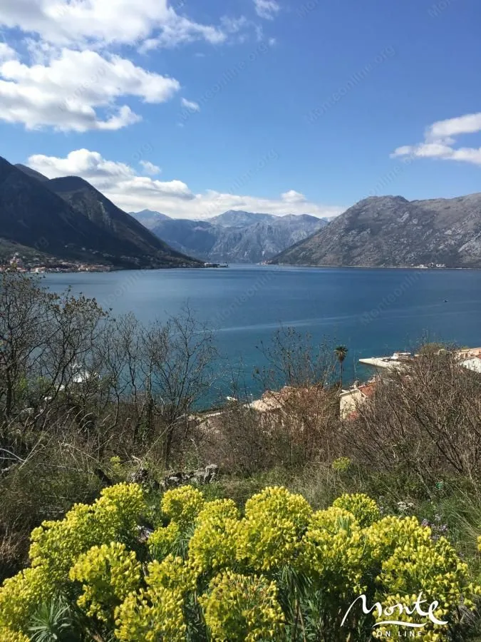 Prodaja, plac, 3060m², Dobrota, Kotor