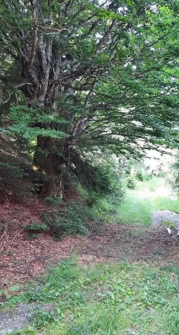 Prodaja, plac, 300m², Kopaonik, Srbija