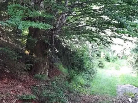 Prodaja, plac, 300m², Kopaonik, Srbija - image 11