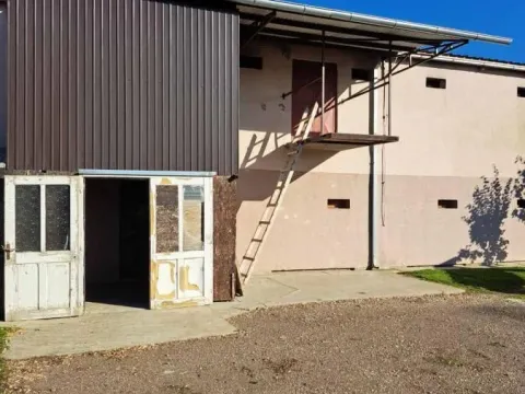 Sale, office space, 1026m², Temerin, Novi Sad - image 11