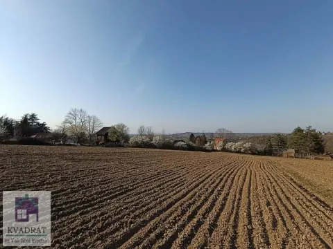 Prodaja, plac, 3600m², Draževac, Obrenovac - image 4