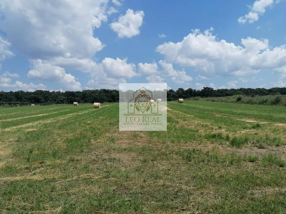 Prodaja, plac, 9700m², Progar, Surčin