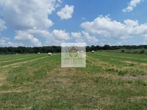 Prodaja, plac, 9700m², Progar, Surčin - image 3