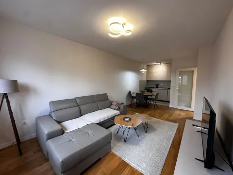 Izdavanje, jednosoban stan, 50m², Central Point, Podgorica - image 1