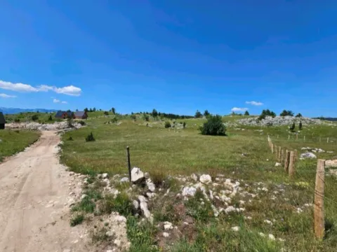 Prodaja, plac, 543m², Borje, Žabljak - image 7