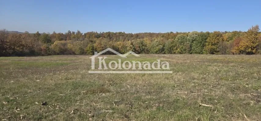 Prodaja, plac, 9300m², Sopot, Beograd