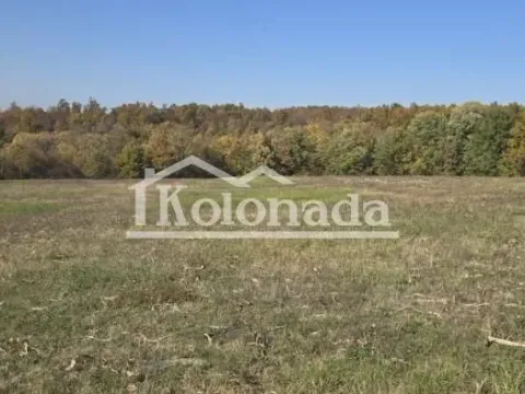 Prodaja, plac, 9300m², Sopot, Beograd - image 4