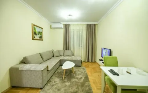 Izdavanje, jednosoban stan, 40m², Stari Aerodrom, Podgorica - image 10