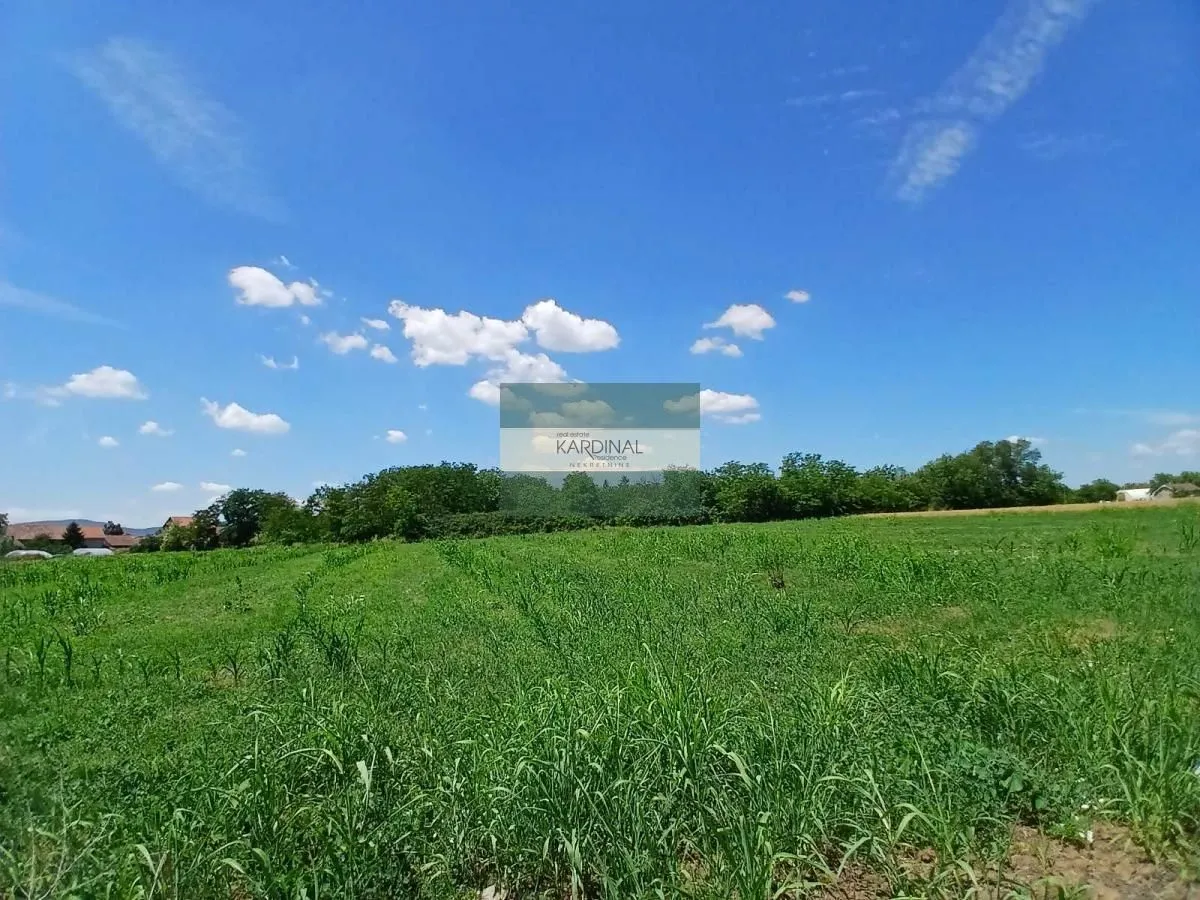 Prodaja, plac, 12747m², Vinorača, Jagodina