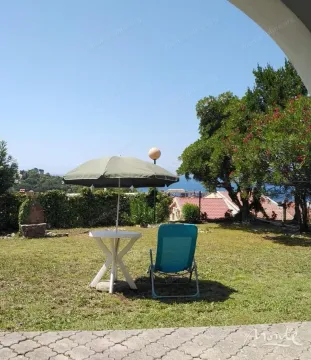 Green yard with a table, umbrella, and sun lounger. - image 20