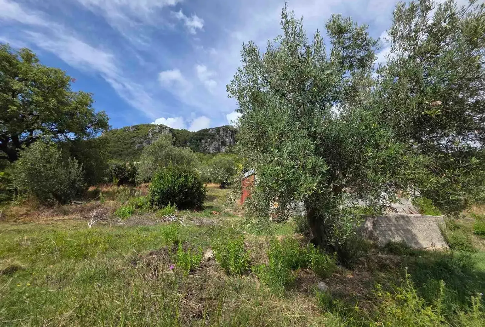 Prodaja, plac, 1058m², Herceg Novi, Crna Gora